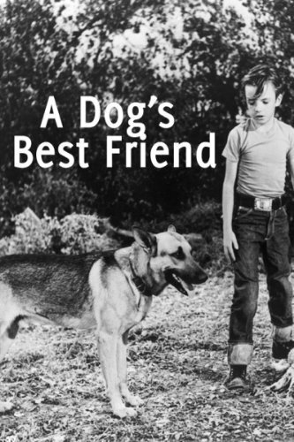 A Dog’s Best Friend