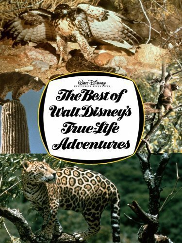 The Best of Walt Disney’s True-Life Adventures